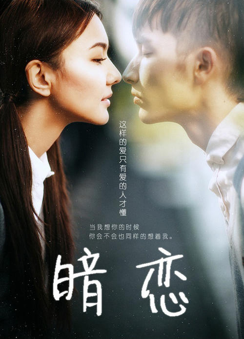 十四大学计算机科学文凭证书